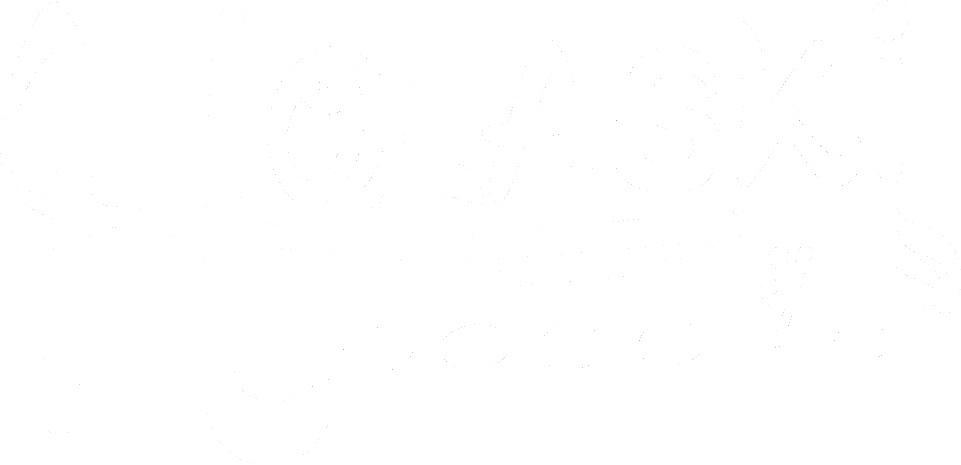 logo holaski weiss